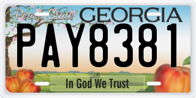 GA license plate PAY8381