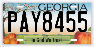 GA license plate PAY8455