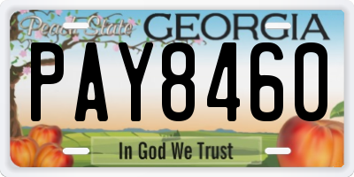 GA license plate PAY8460