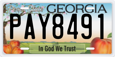 GA license plate PAY8491