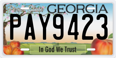 GA license plate PAY9423