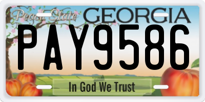 GA license plate PAY9586