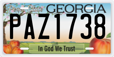 GA license plate PAZ1738