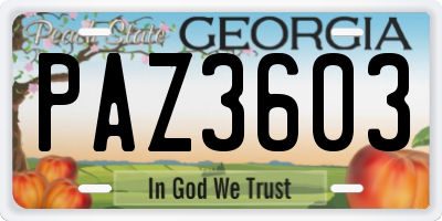 GA license plate PAZ3603