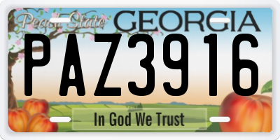 GA license plate PAZ3916