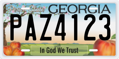 GA license plate PAZ4123