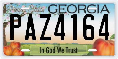 GA license plate PAZ4164