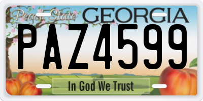 GA license plate PAZ4599