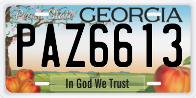 GA license plate PAZ6613