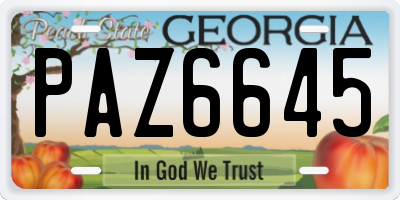 GA license plate PAZ6645