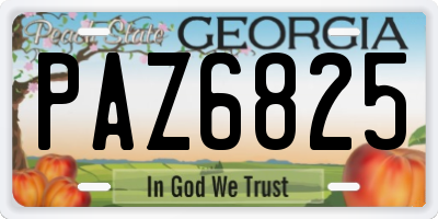 GA license plate PAZ6825