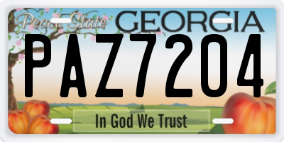 GA license plate PAZ7204