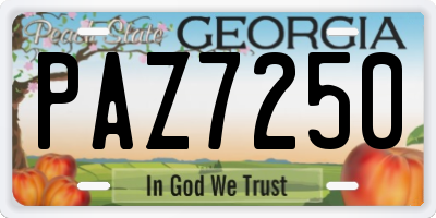 GA license plate PAZ7250