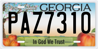 GA license plate PAZ7310
