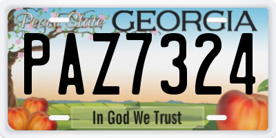 GA license plate PAZ7324