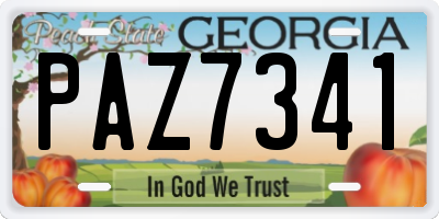 GA license plate PAZ7341