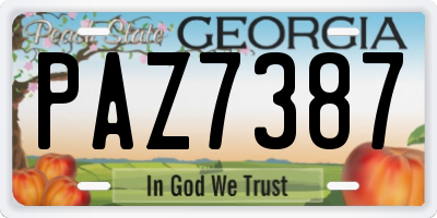 GA license plate PAZ7387