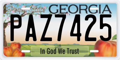 GA license plate PAZ7425