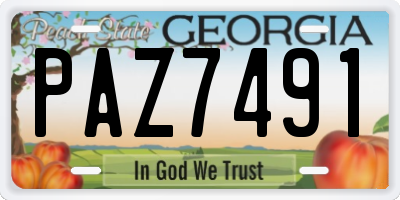 GA license plate PAZ7491