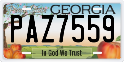 GA license plate PAZ7559