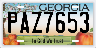 GA license plate PAZ7653