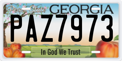GA license plate PAZ7973