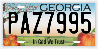 GA license plate PAZ7995