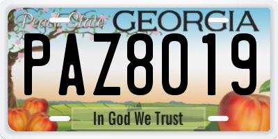 GA license plate PAZ8019