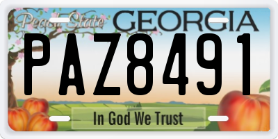 GA license plate PAZ8491