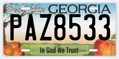 GA license plate PAZ8533