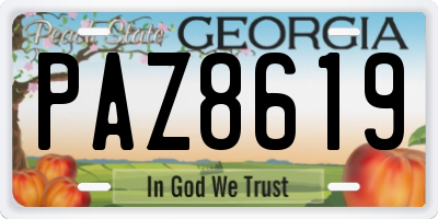 GA license plate PAZ8619
