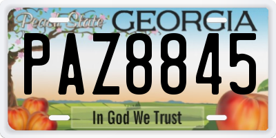 GA license plate PAZ8845