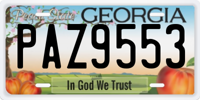 GA license plate PAZ9553