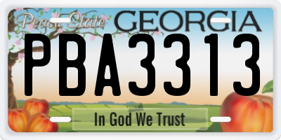 GA license plate PBA3313