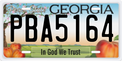 GA license plate PBA5164