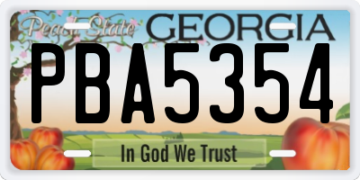 GA license plate PBA5354