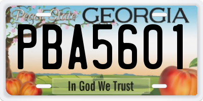 GA license plate PBA5601