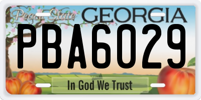 GA license plate PBA6029