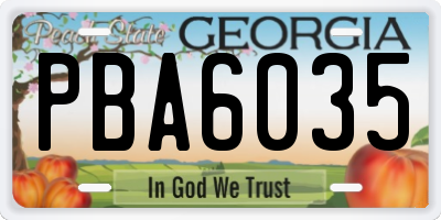 GA license plate PBA6035