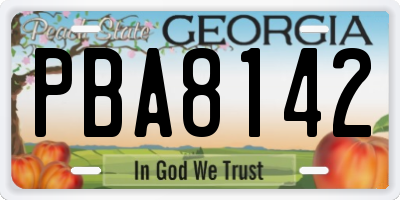 GA license plate PBA8142