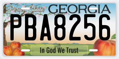 GA license plate PBA8256