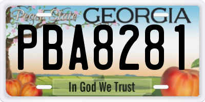 GA license plate PBA8281