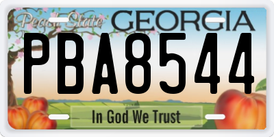 GA license plate PBA8544