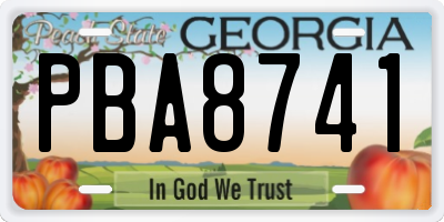 GA license plate PBA8741