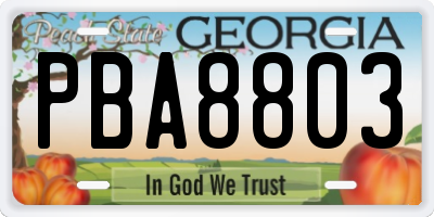 GA license plate PBA8803