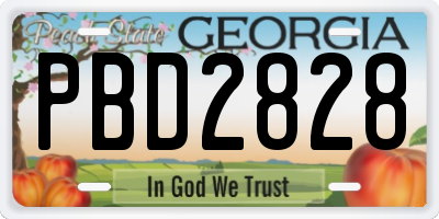 GA license plate PBD2828