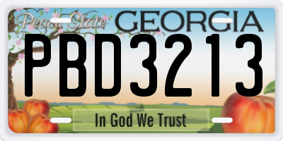 GA license plate PBD3213