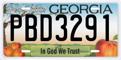 GA license plate PBD3291