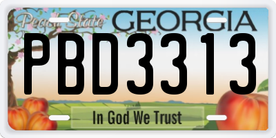 GA license plate PBD3313