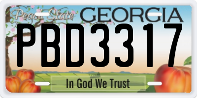 GA license plate PBD3317